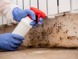 Best Mold Prevention Services  in Wtell, LA